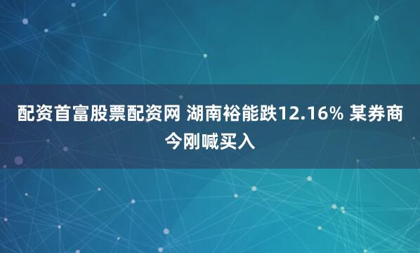 配资首富股票配资网 湖南裕能跌12.16% 某券商今刚喊买入