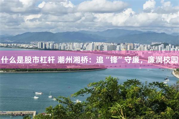 什么是股市杠杆 潮州湘桥：追“锋”守廉，廉润校园