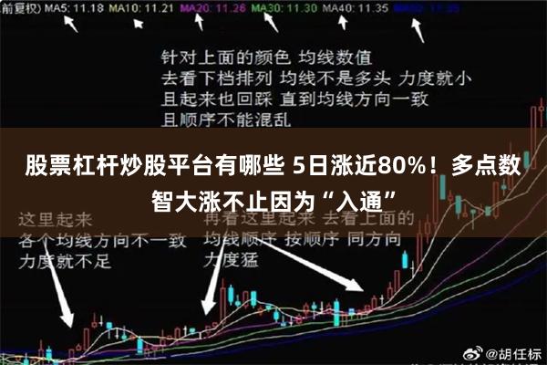股票杠杆炒股平台有哪些 5日涨近80%！多点数智大涨不止因为“入通”