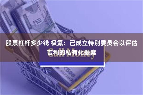 股票杠杆多少钱 极氪：已成立特别委员会以评估吉利的私有化提案