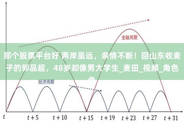 那个股票平台好 两岸虽远，亲情不断！回山东收麦子的郭品超，48岁却像男大学生_麦田_视频_角色