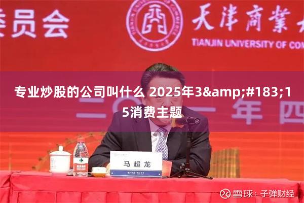 专业炒股的公司叫什么 2025年3&#183;15消费主题
