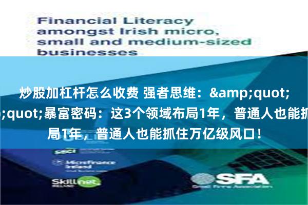 炒股加杠杆怎么收费 强者思维：&quot;投资于人&quot;暴富密码：这3个领域布局1年，普通人也能抓住万亿级风口！
