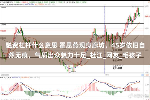 融资杠杆什么意思 霍思燕现身廊坊，45岁依旧自然无痕，气质出众魅力十足_杜江_网友_毛孩子