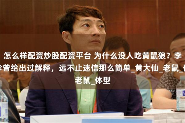 怎么样配资炒股配资平台 为什么没人吃黄鼠狼？李时珍曾给出过解释，远不止迷信那么简单_黄大仙_老鼠_体型