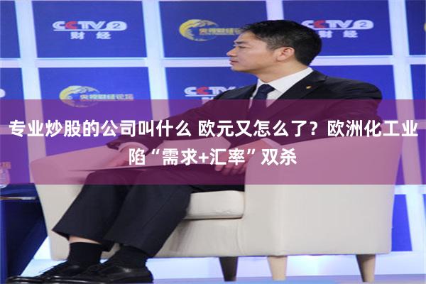 专业炒股的公司叫什么 欧元又怎么了？欧洲化工业陷“需求+汇率”双杀